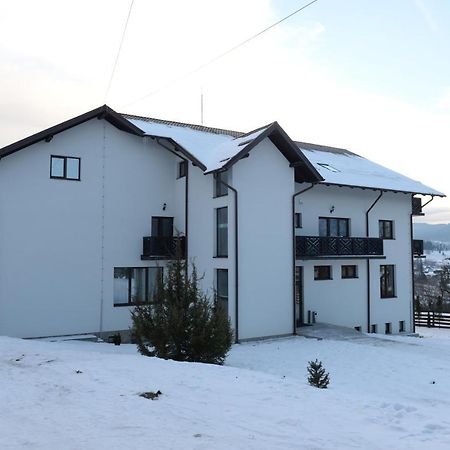 Pensiunea Arinas Vatra Dornei Exterior foto