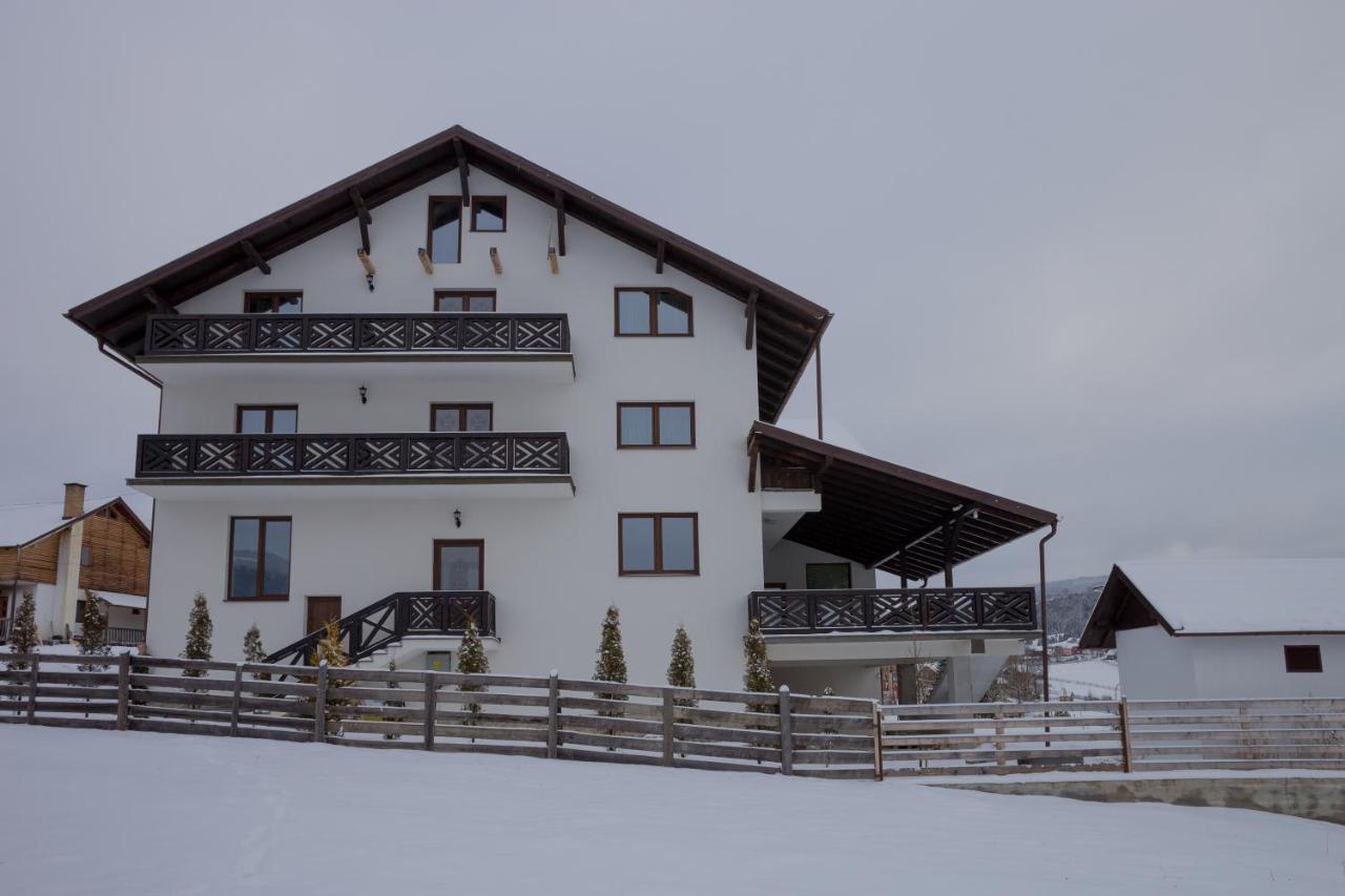Pensiunea Arinas Vatra Dornei Exterior foto